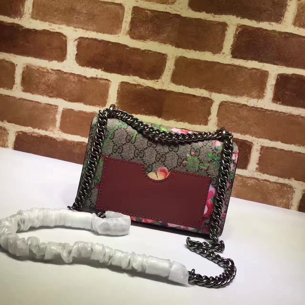 new-designer-premium-bags-nm17650