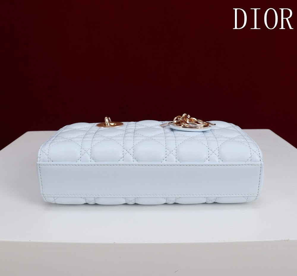 Anum Bags Diorn Luxury Bag --114713