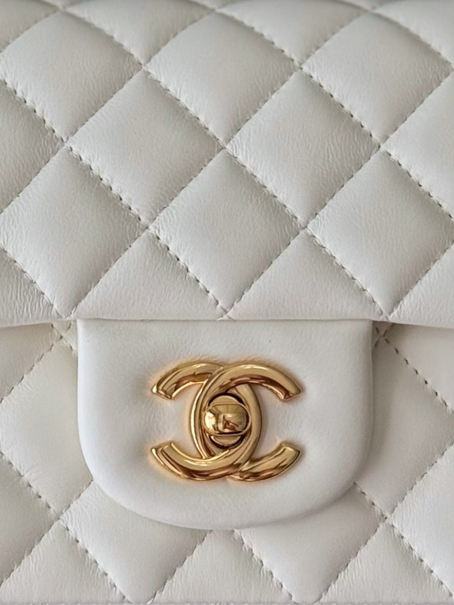 Anum Bags CHn Luxury Bag --113047