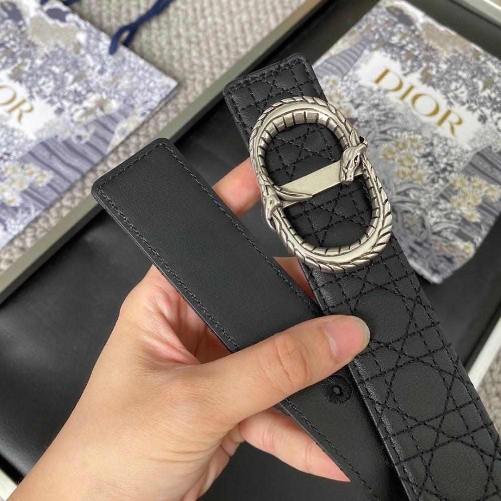 Anum Bags Diorn Luxury Belt --104899