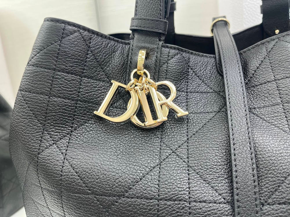 Ezyycart Bags Diorn Luxury Bag --115387