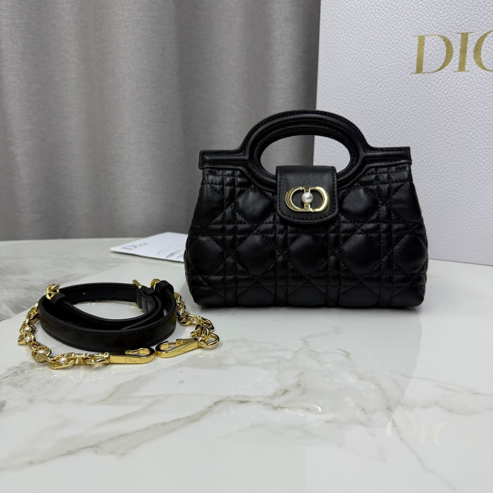 Ezyycart Bags Diorn Luxury Bag --116107