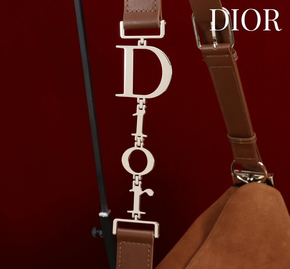 Ezyycart Bags Diorn Luxury Bag --115356