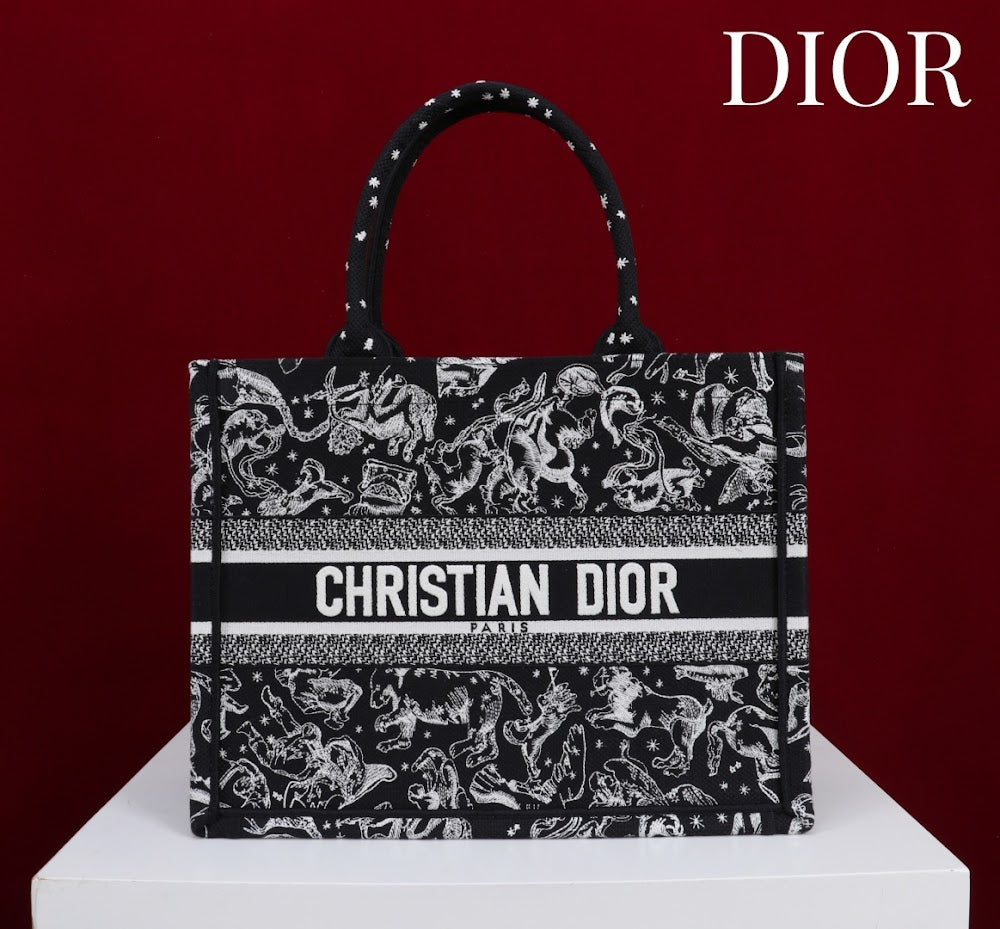 Anum Bags Diorn Luxury Bag --114892