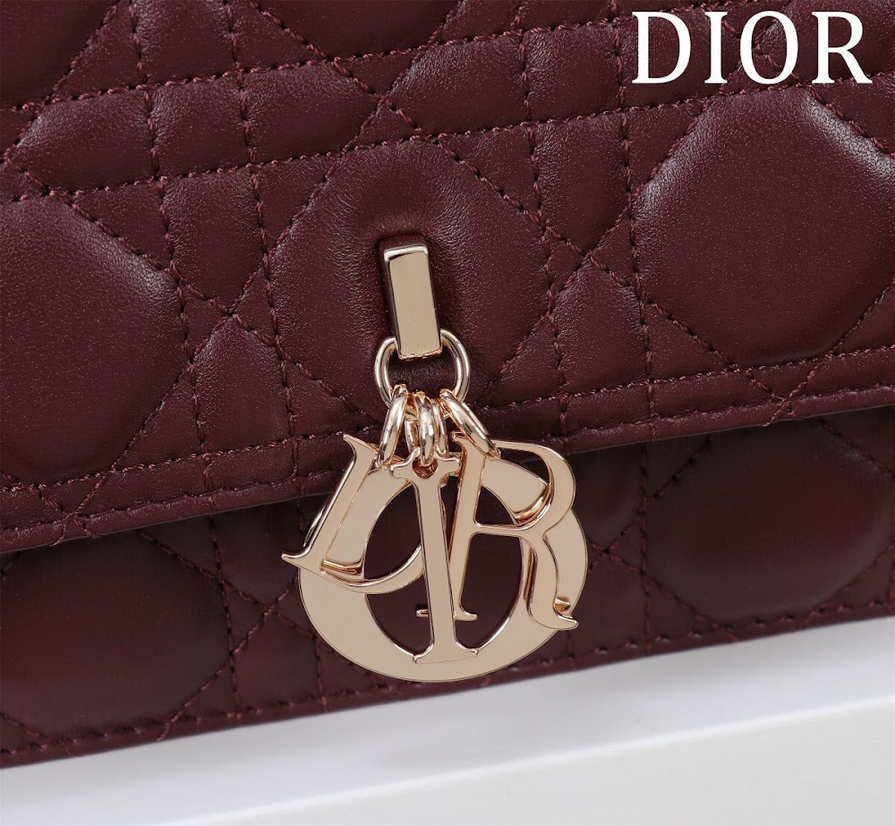 Ezyycart Bags Diorn Luxury Bag --116301