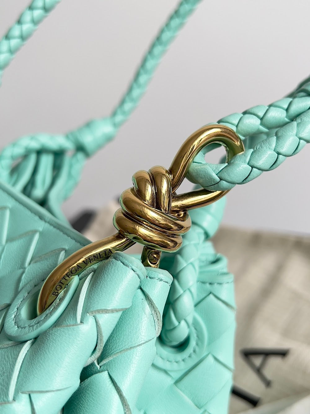 Ezyycart Bags Bottegan Luxury Bag --90954