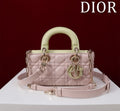Anum Bags Diorn Luxury Bag --114853