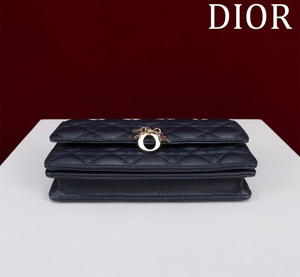 Ezyycart Bags Diorn Luxury Bag --116224
