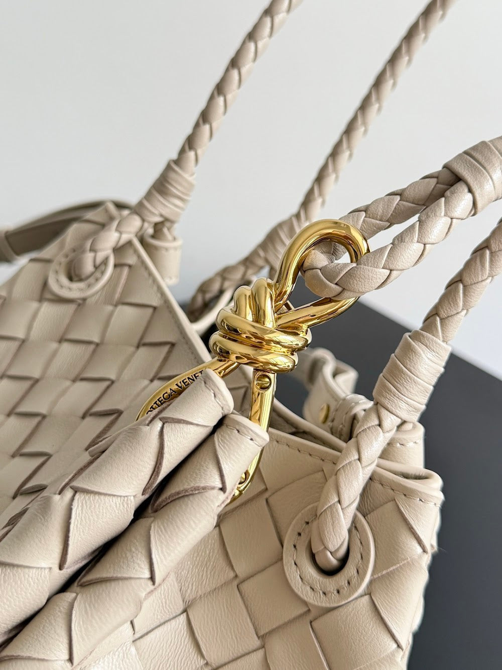 Ezyycart Bags Bottegan Luxury Bag --90966