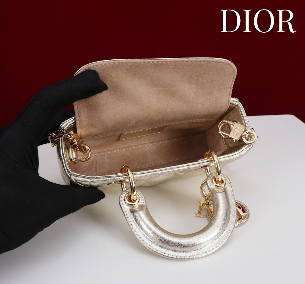 Ezyycart Bags Diorn Luxury Bag --116491