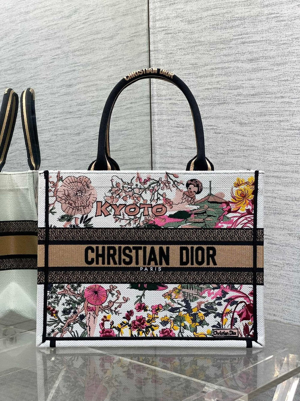 new-designer-premium-bags-nm16791