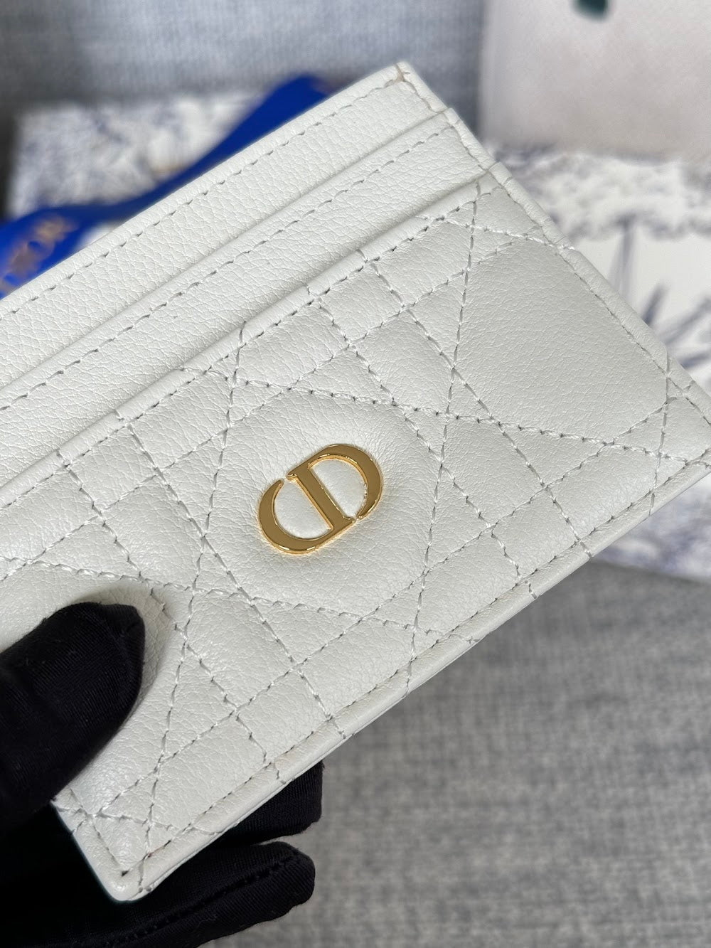 Anum Bags Diorn Luxury Bag --114622