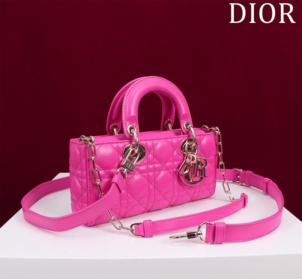 Anum Bags Diorn Luxury Bag --114776