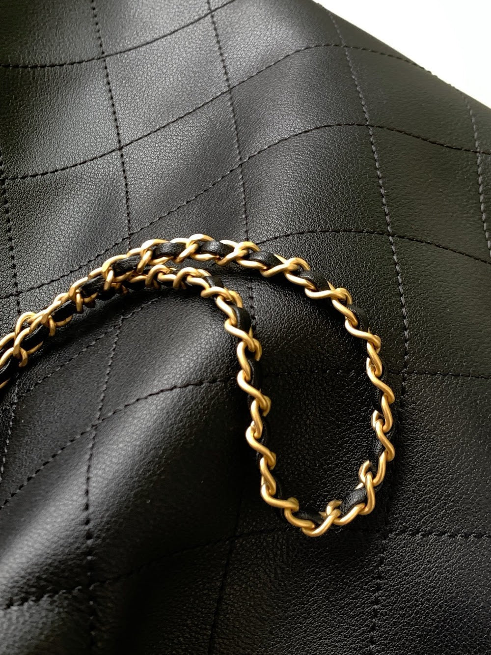Anum Bags CHn Luxury Bag --114121
