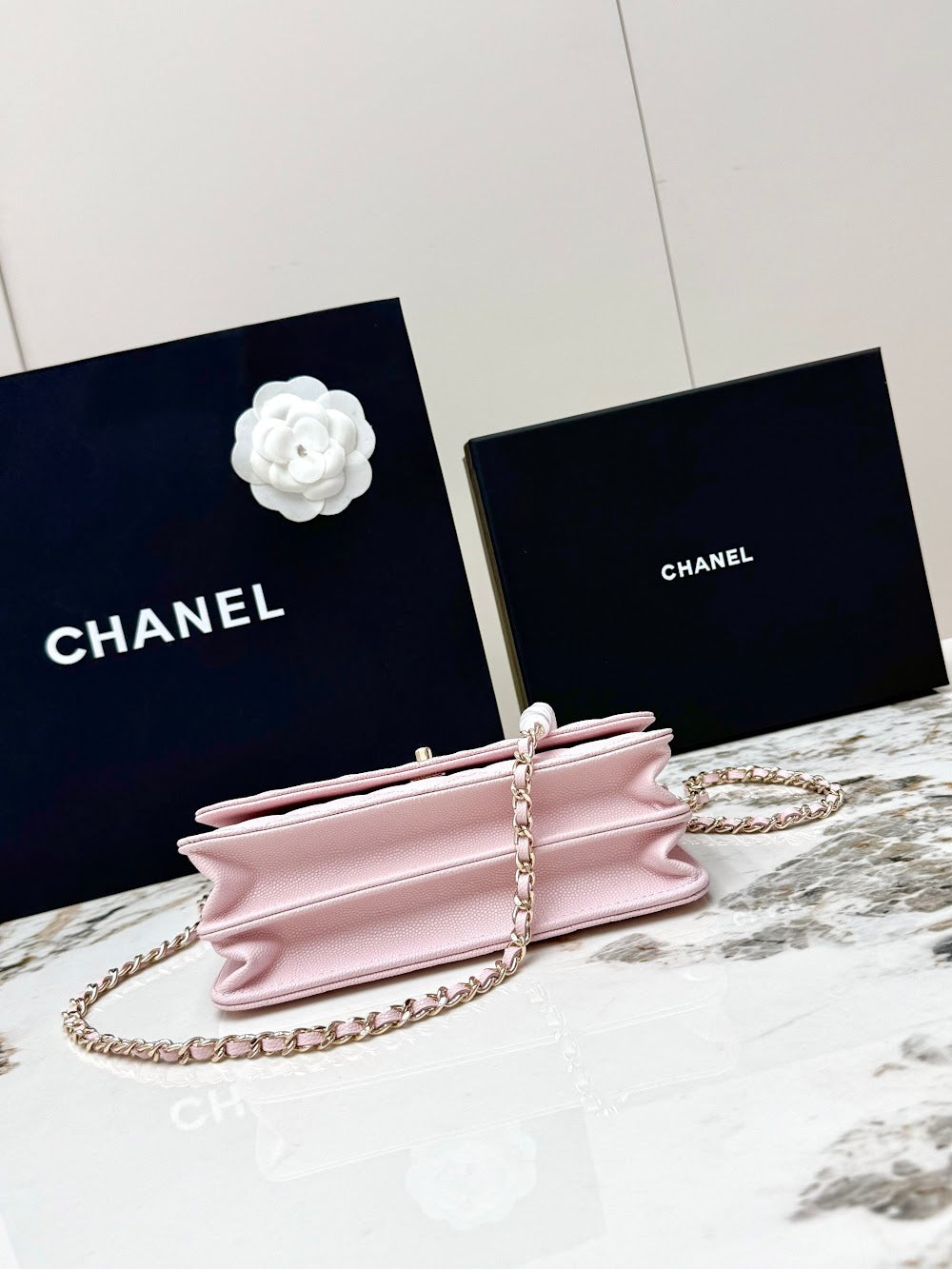 Anum Bags CHn Luxury Bag --113852