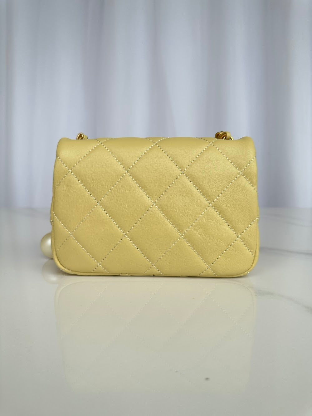 new-luxury-designer-bags-nm19871