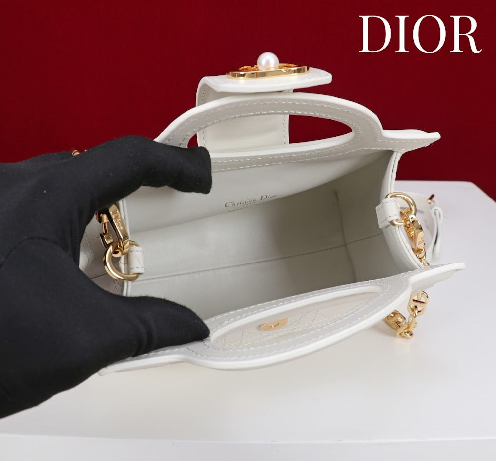 Anum Bags Diorn Luxury Bag --114555