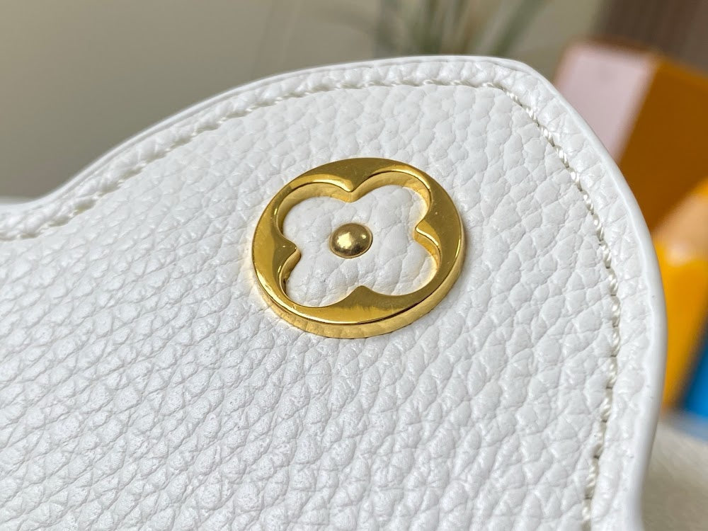 Anum Bags LVn Luxury Bag --78741