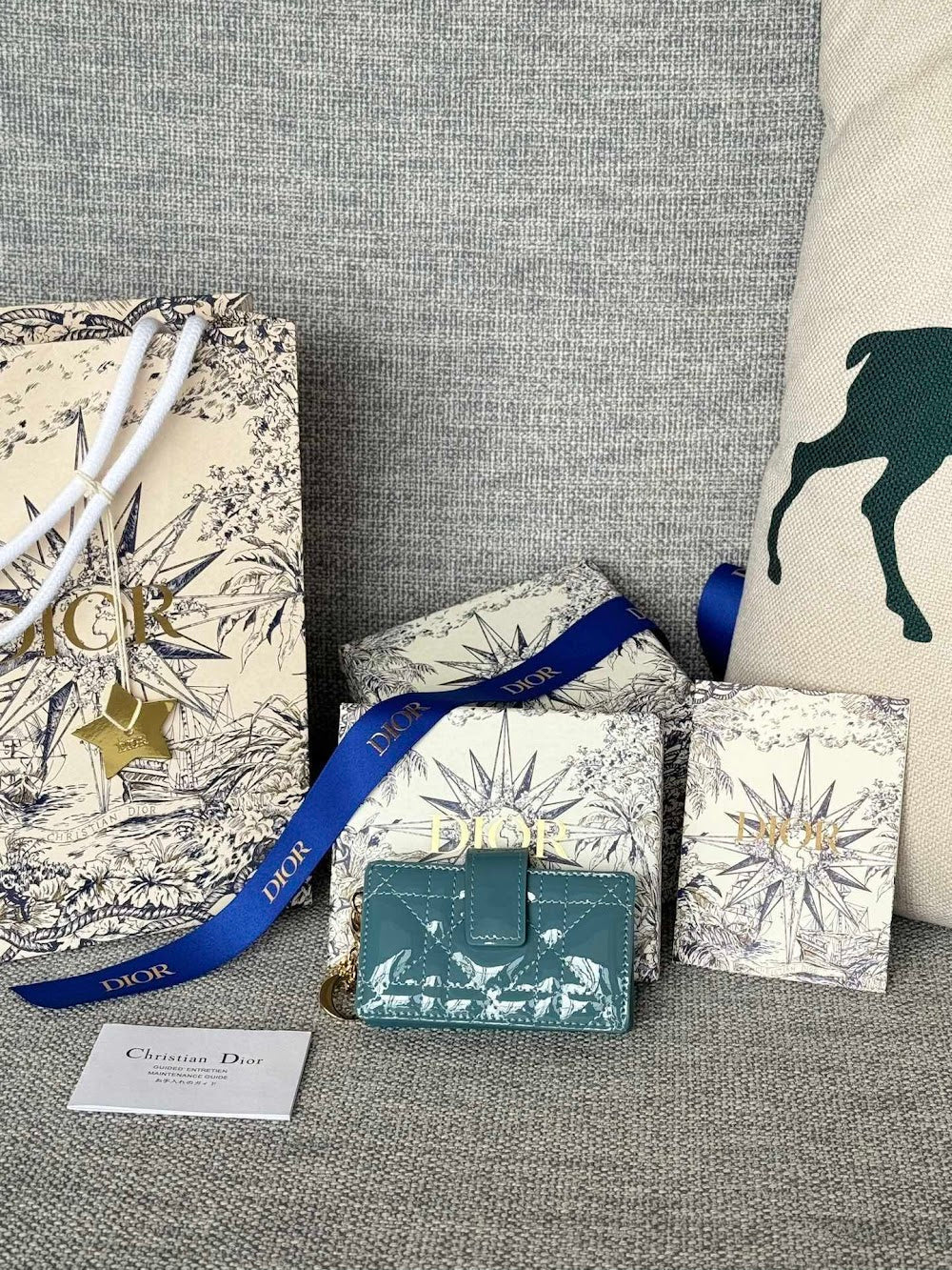 Anum Bags Diorn Luxury Bag --114598