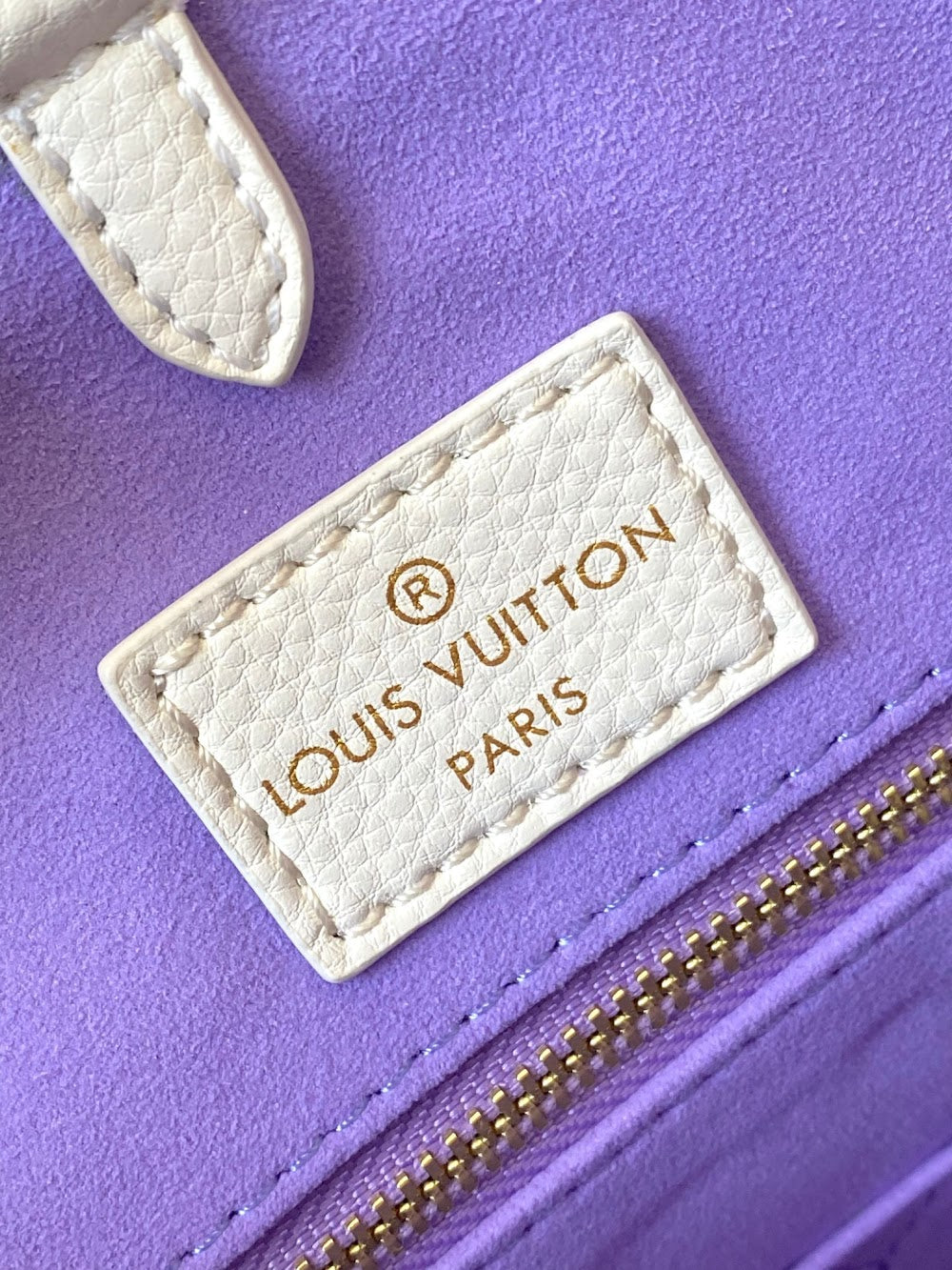 Anum Bags LVn Luxury Bag --78980