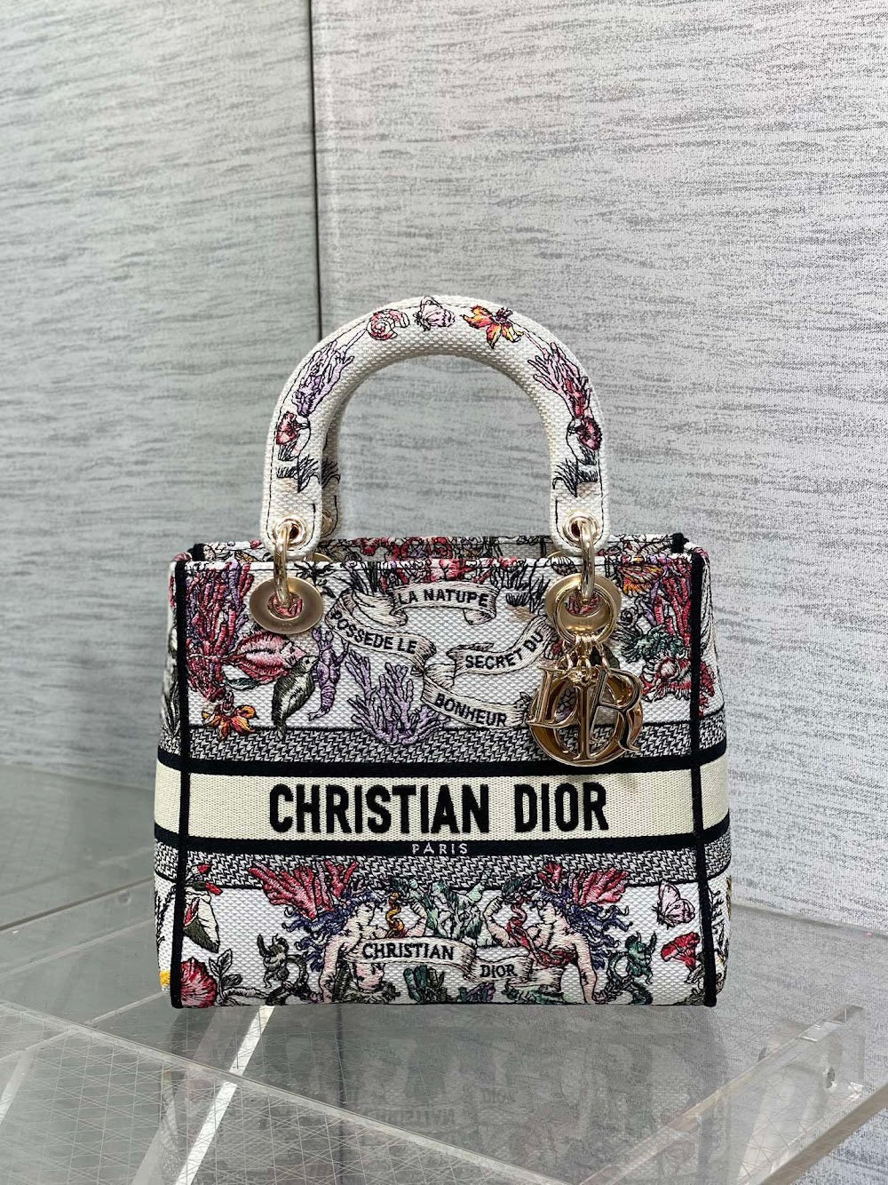 new-designer-premium-bags-nm16306