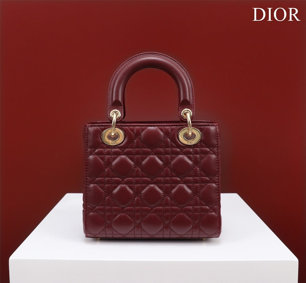 Ezyycart Bags Diorn Luxury Bag --115921
