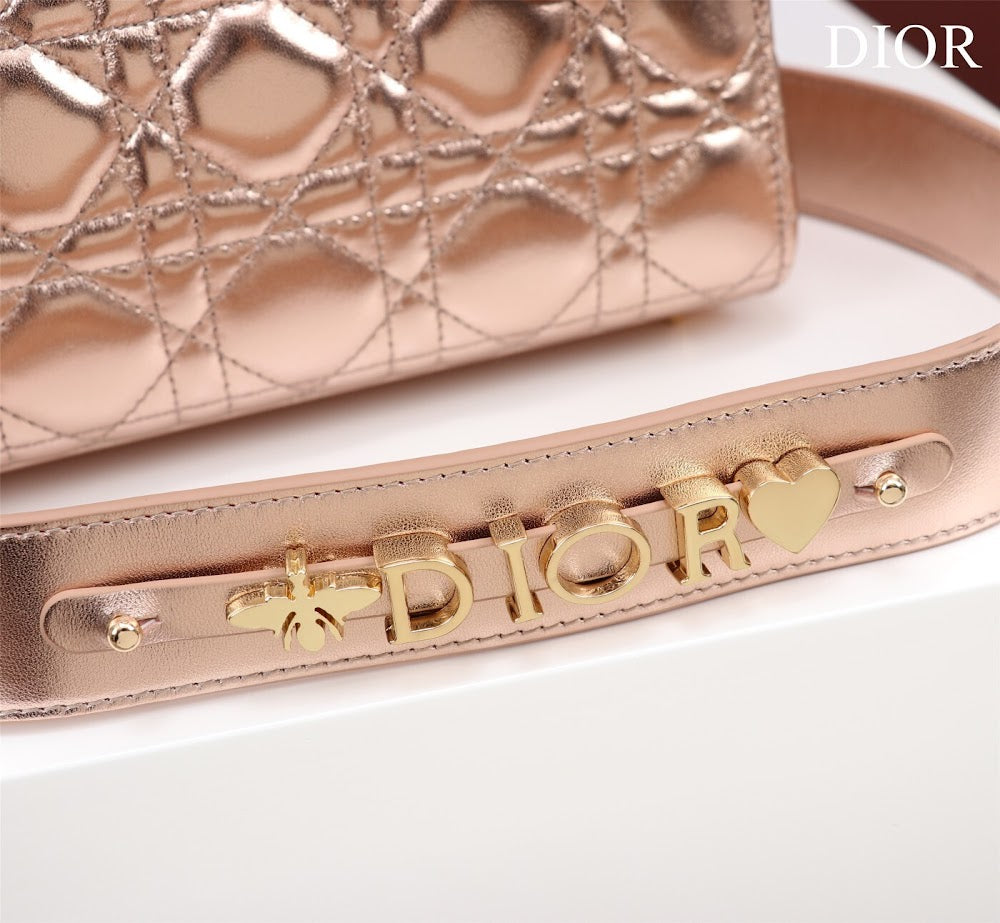 Ezyycart Bags Diorn Luxury Bag --115937