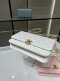 new-elite-designer-bags-nm10247