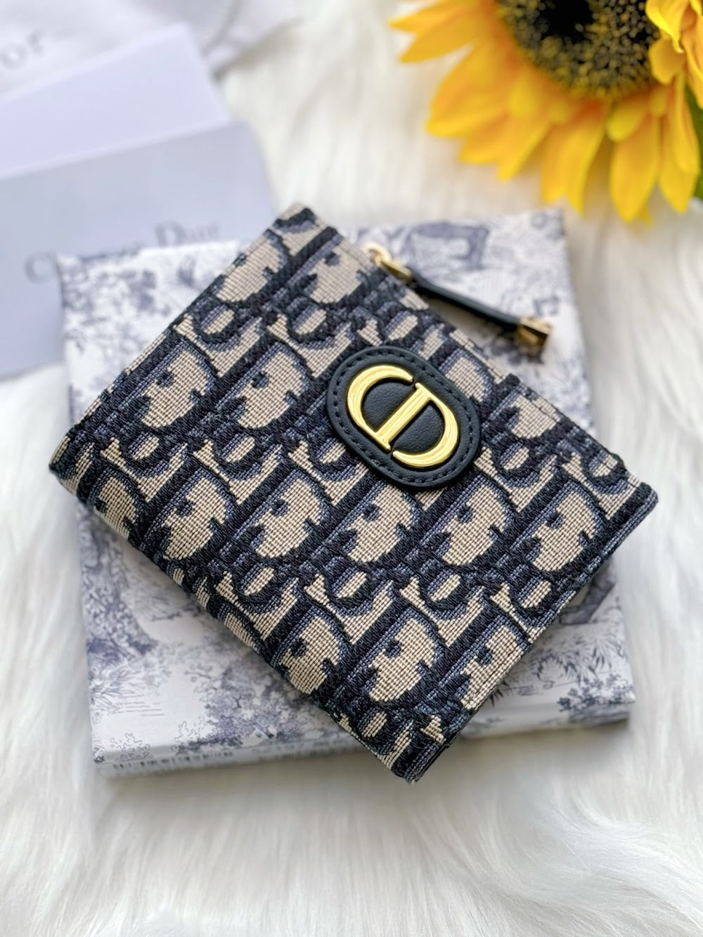 Ezyycart Bags Diorn Luxury Bag --115212