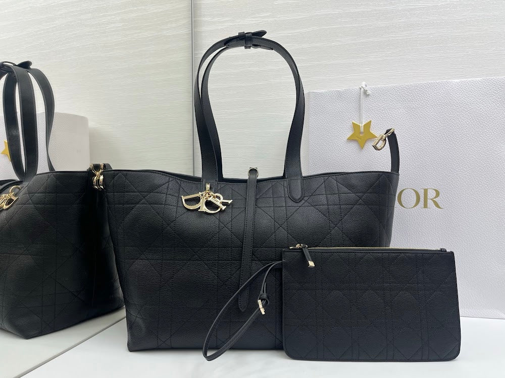 Ezyycart Bags Diorn Luxury Bag --115387