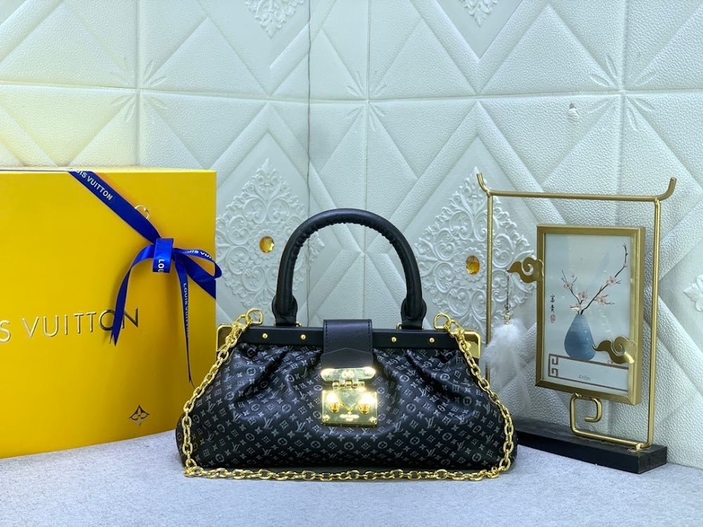 Anum Bags LVn Luxury Bag --81242
