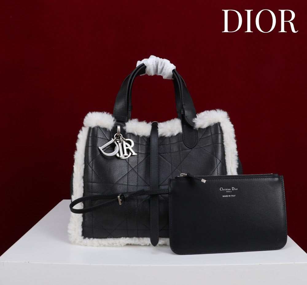 Anum Bags Diorn Luxury Bag --114889