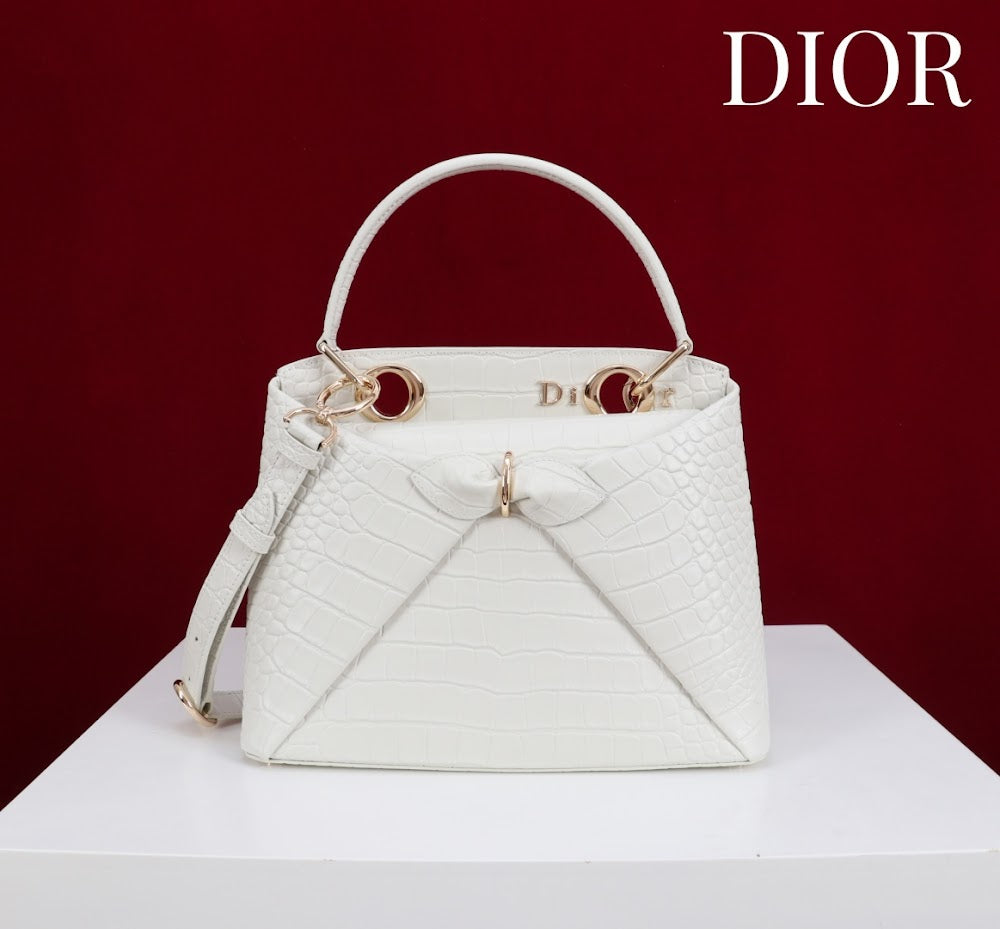 Anum Bags Diorn Luxury Bag --114793