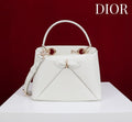 Anum Bags Diorn Luxury Bag --114793