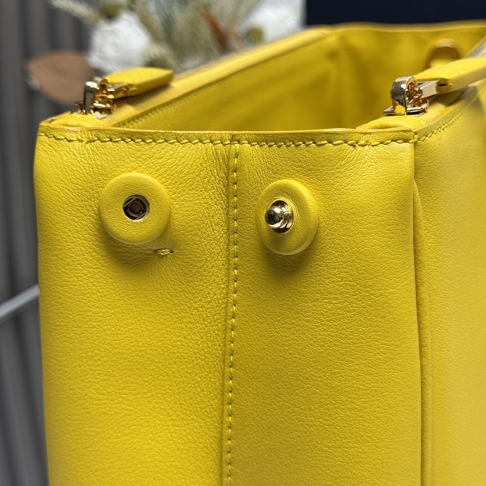 Ezyycart Bags Pradn Luxury Bag --102717