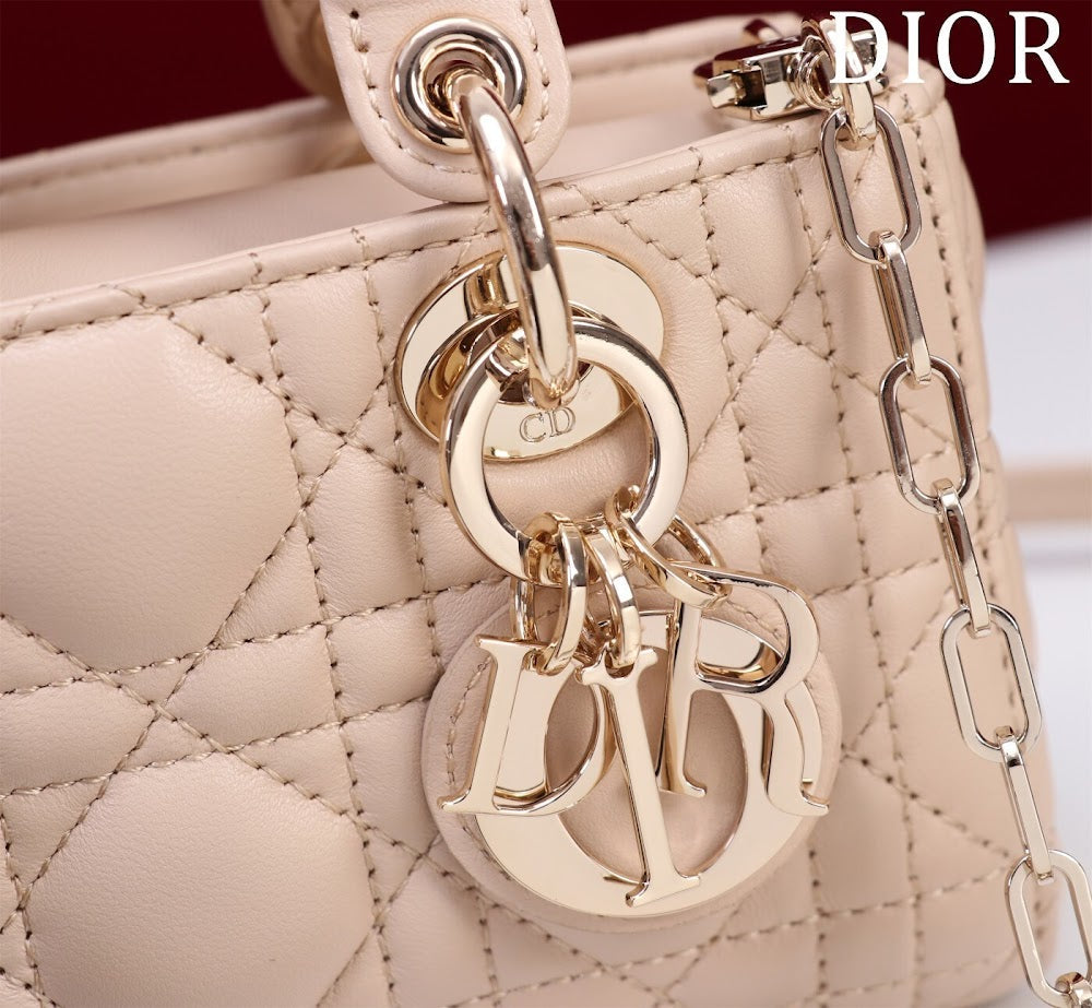 Ezyycart Bags Diorn Luxury Bag --116448