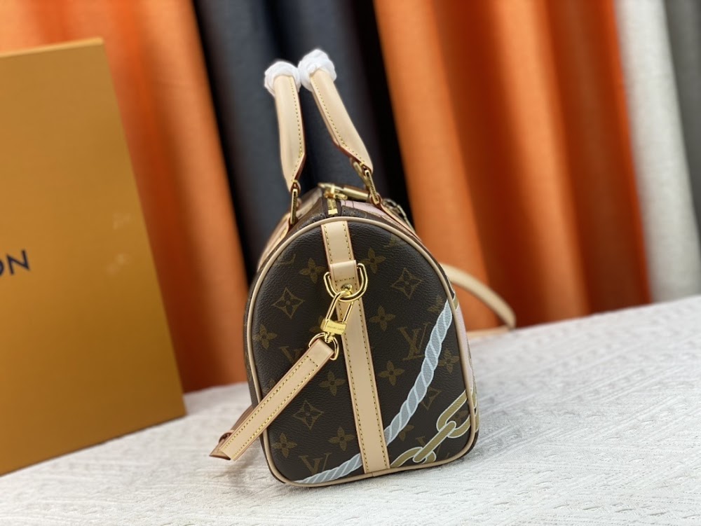 Anum Bags LVn Luxury Bag --81245