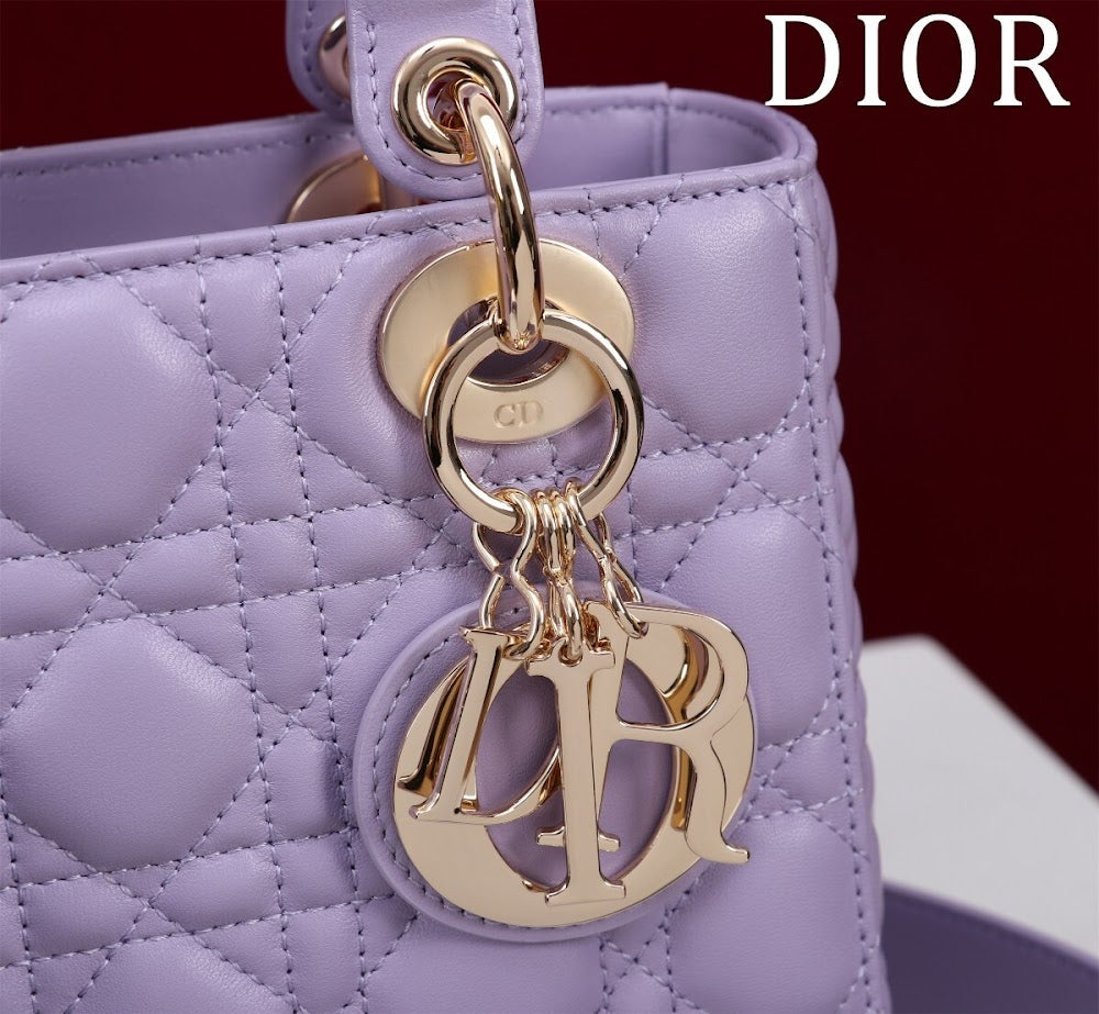 Ezyycart Bags Diorn Luxury Bag --115929