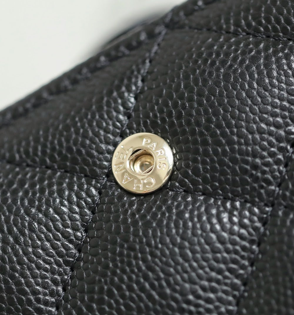 Anum Bags CHn Luxury Bag --114100