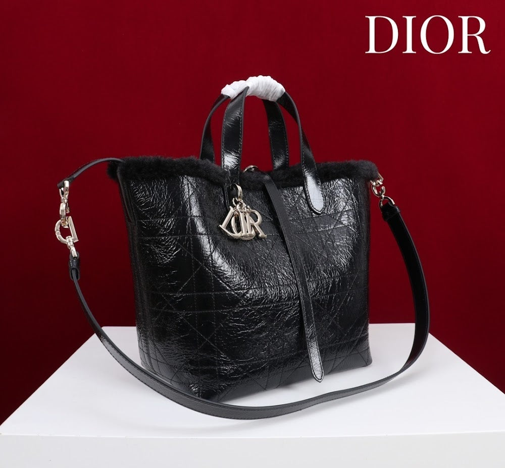 Ezyycart Bags Diorn Luxury Bag --116121