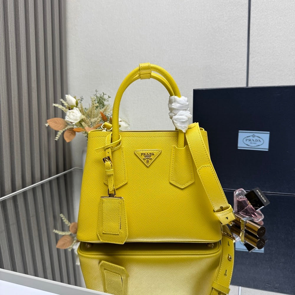 Ezyycart Bags Pradn Luxury Bag --102318