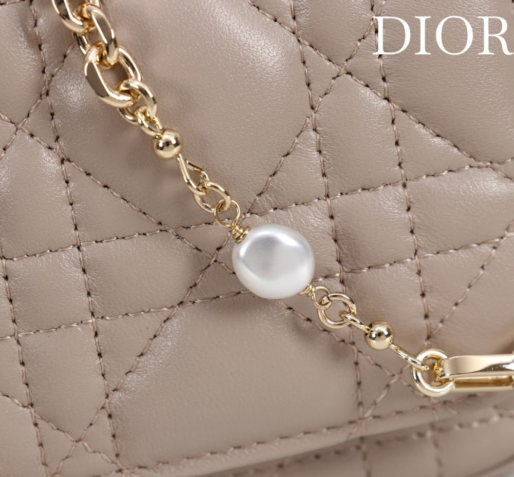 Ezyycart Bags Diorn Luxury Bag --116360