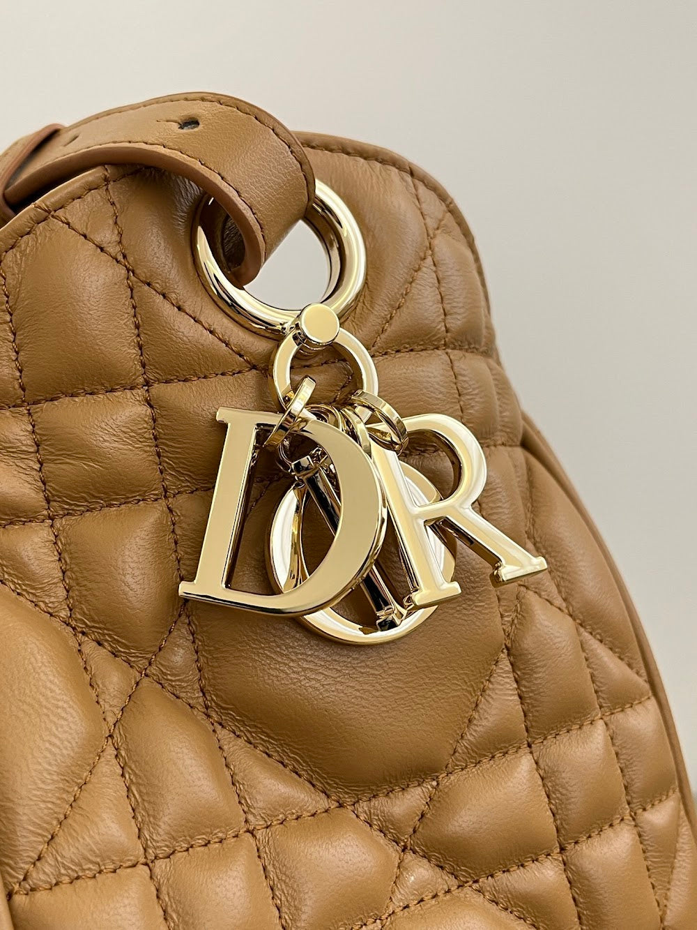 Anum Bags Diorn Luxury Bag --114958
