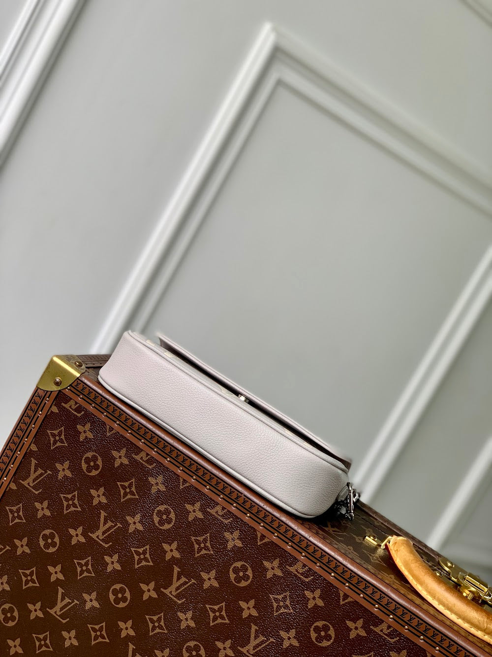 Anum Bags LVn Luxury Bag --80365