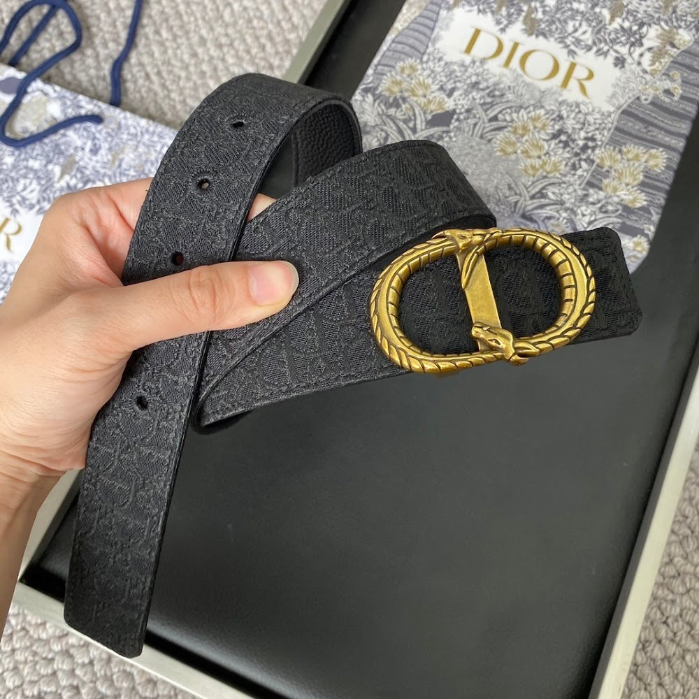 Anum Bags Diorn Luxury Belt --104902