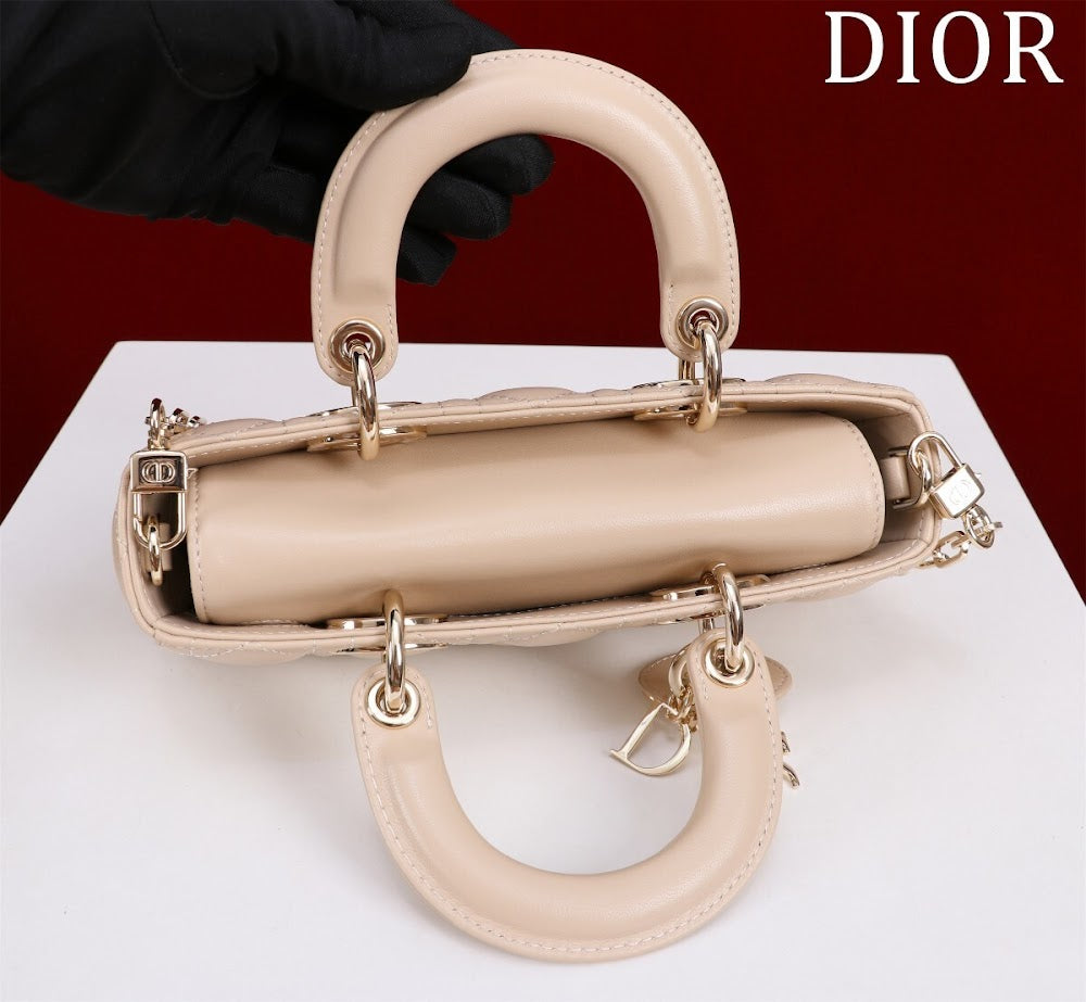 Anum Bags Diorn Luxury Bag --114761