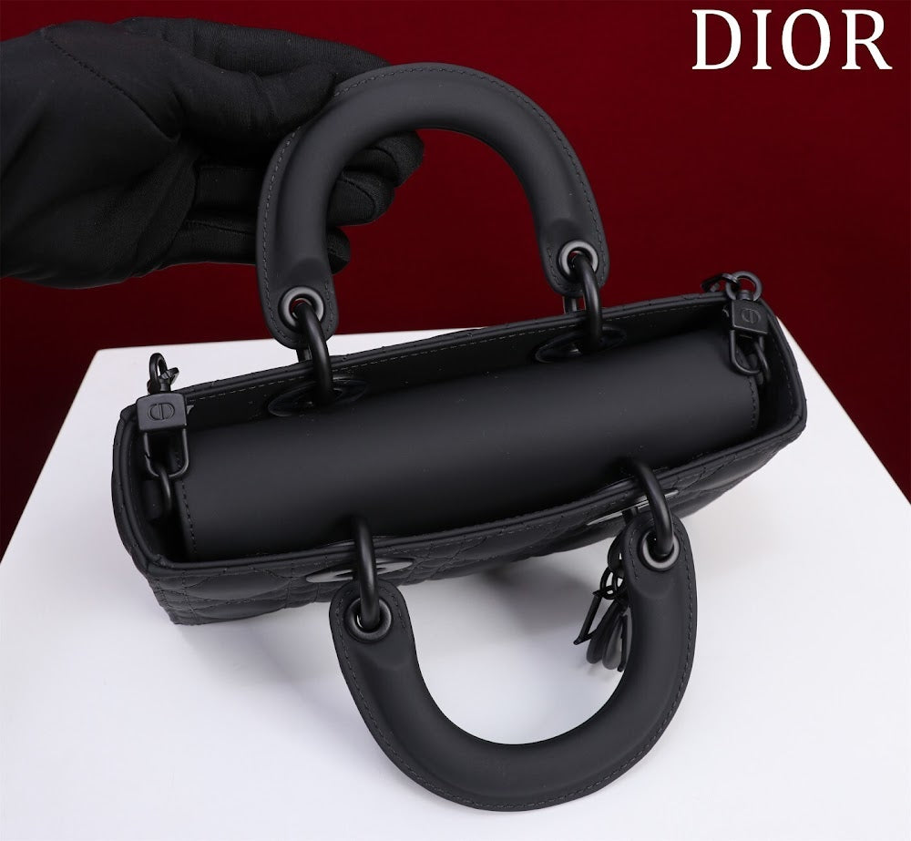 Anum Bags Diorn Luxury Bag --114857