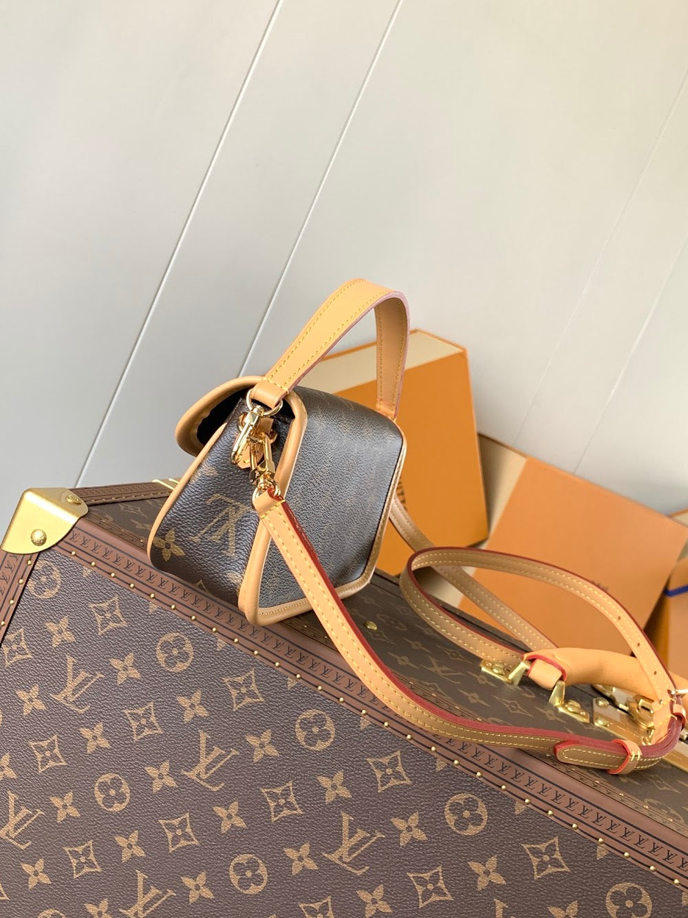 Anum Bags LVn Luxury Bag --79941