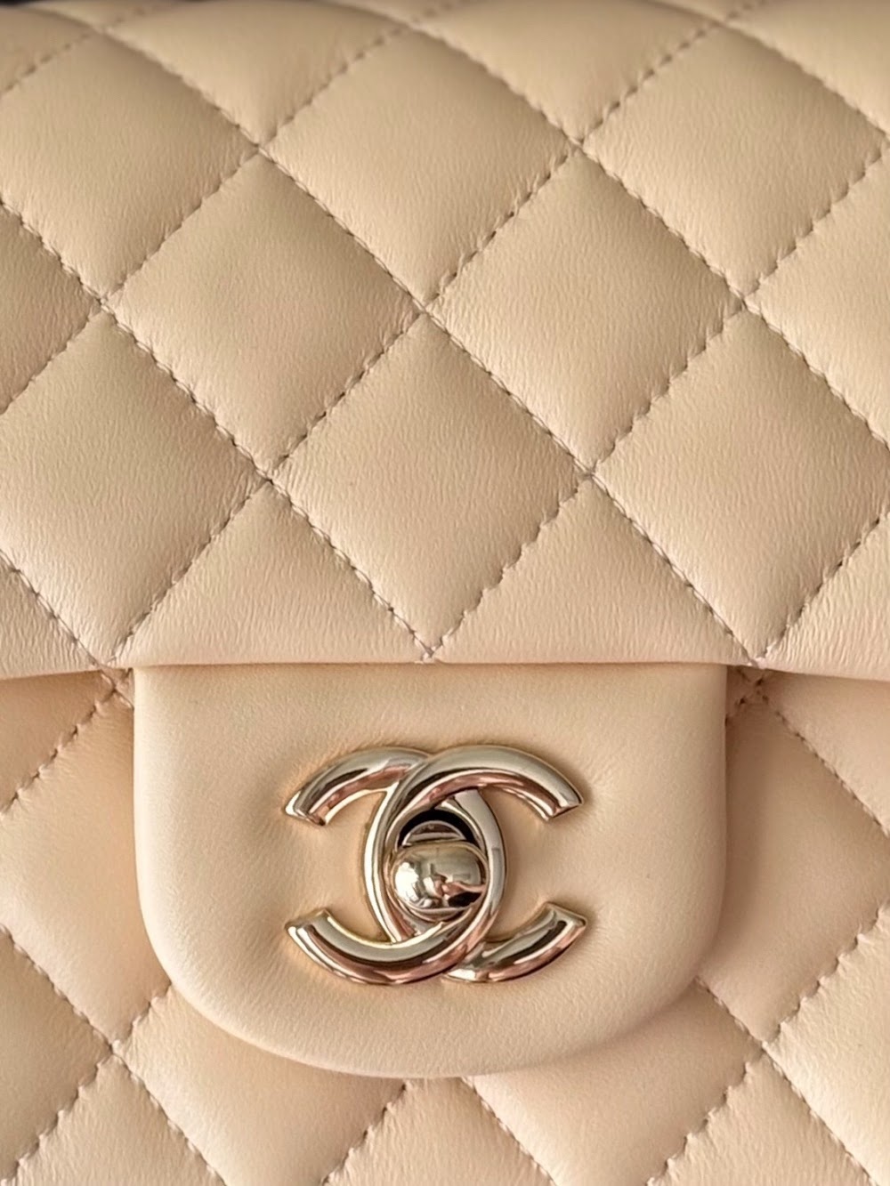 Anum Bags CHn Luxury Bag --113000