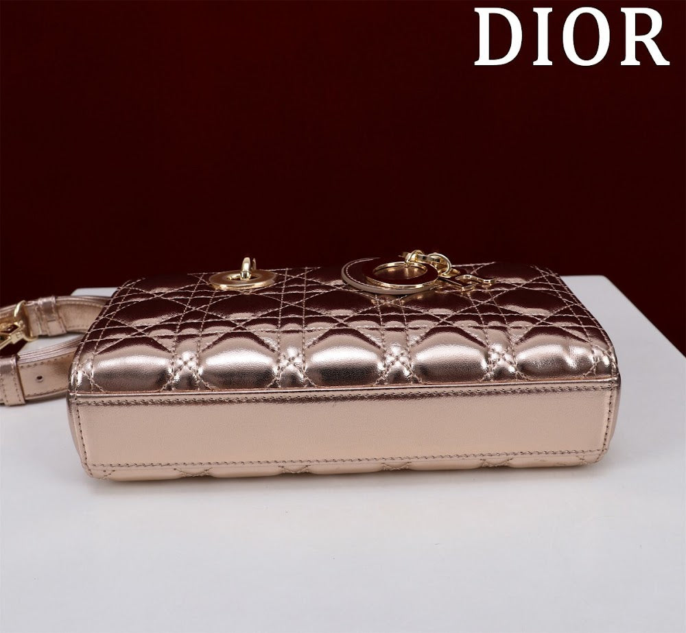 Anum Bags Diorn Luxury Bag --114738